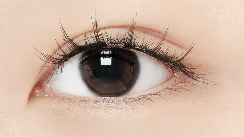 Lashora™ | Magnetic Lashes with FREE applicator