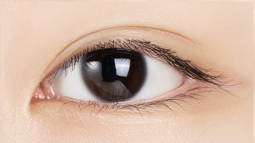 Lashora™ | Magnetic Lashes with FREE applicator