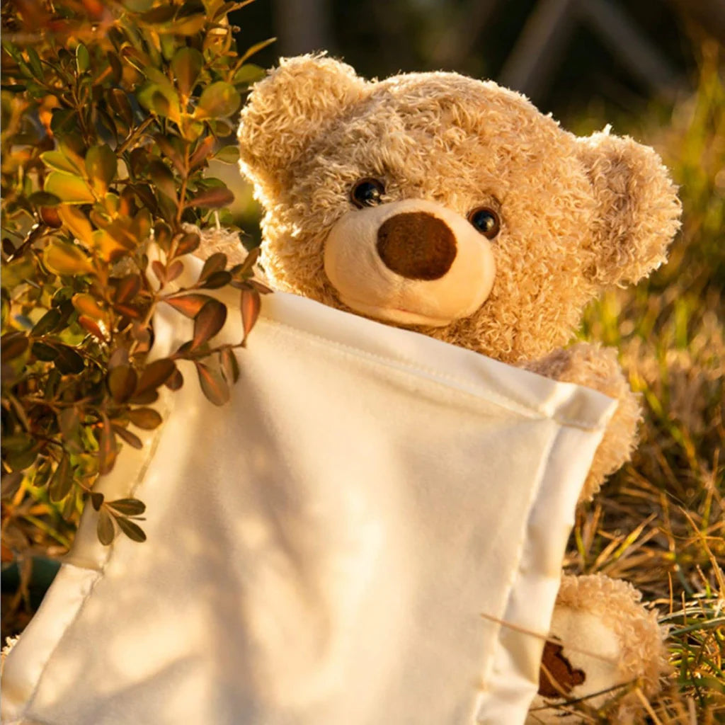 Hide & Seek Toy | Peek a boo Bear
