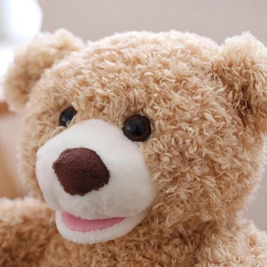 Hide & Seek Toy | Peek a boo Bear