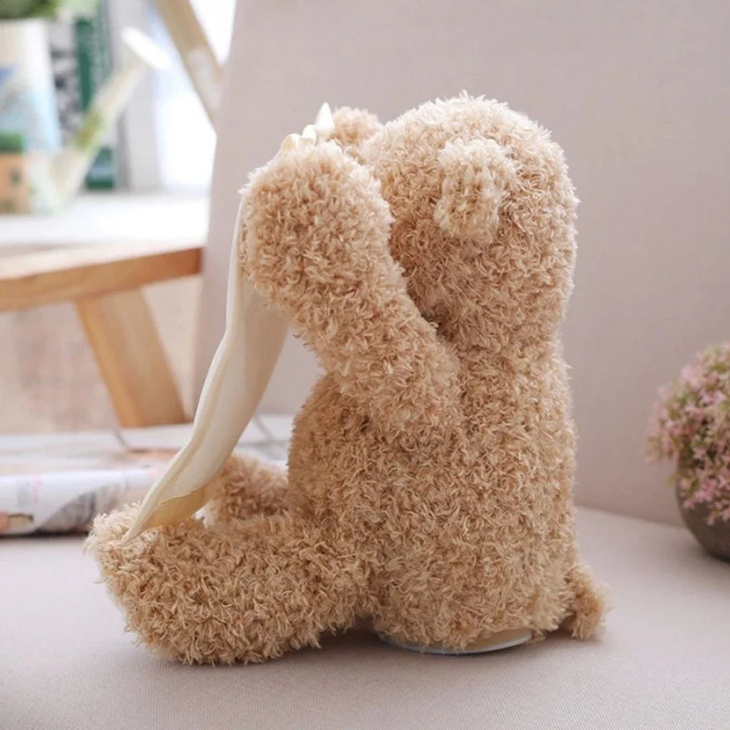 Hide & Seek Toy | Peek a boo Bear