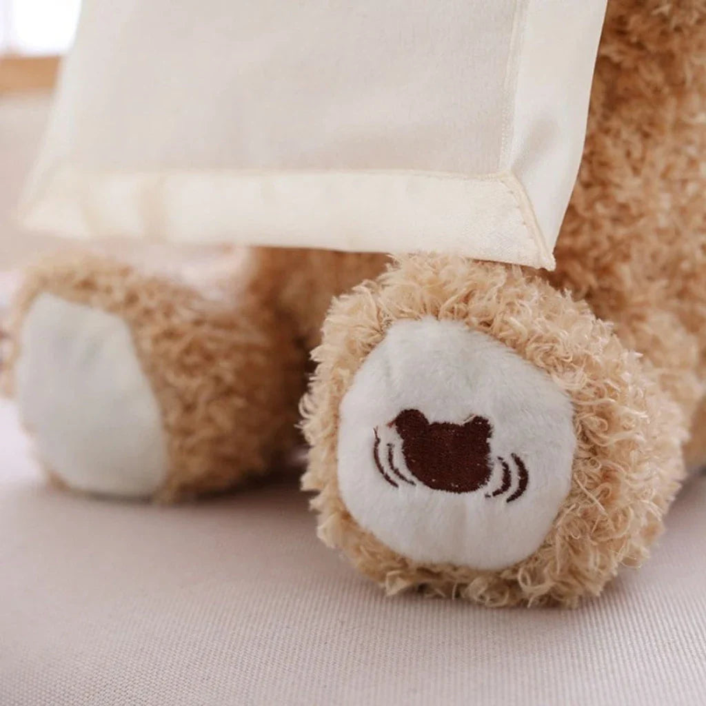 Hide & Seek Toy | Peek a boo Bear