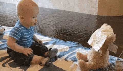 Hide & Seek Toy | Peek a boo Bear