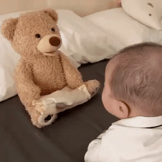 Hide & Seek Toy | Peek a boo Bear