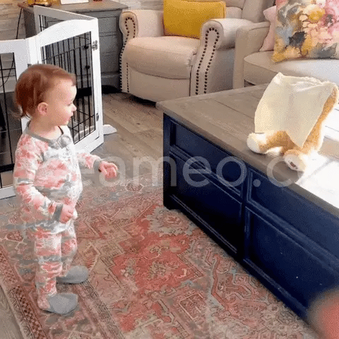 Hide & Seek Toy | Peek a boo Bear